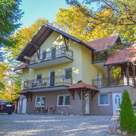 Vila Savinka Zlatibor Buitenkant foto