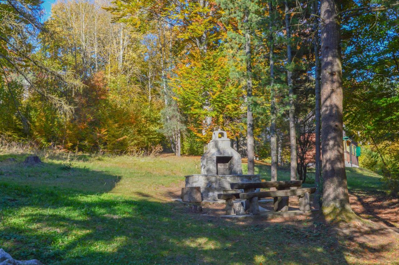 Vila Savinka Zlatibor Buitenkant foto