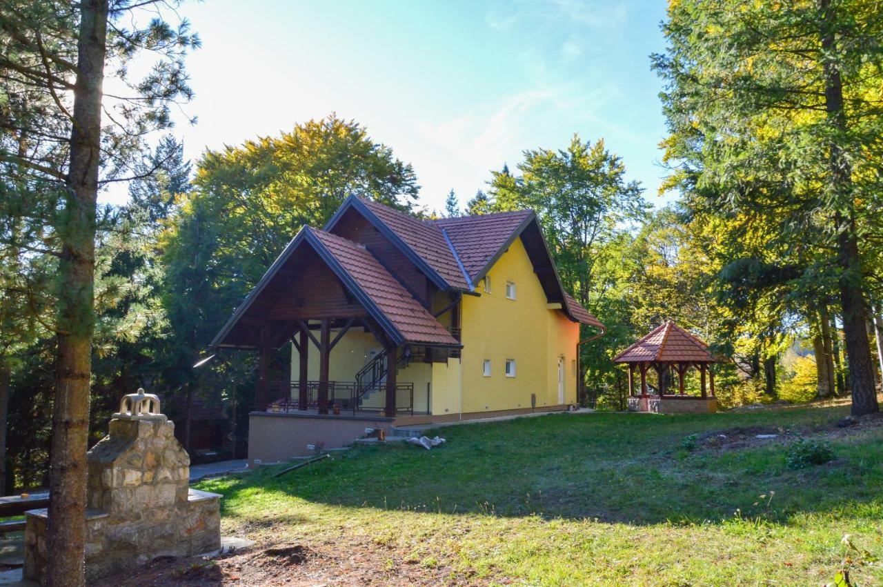 Vila Savinka Zlatibor Buitenkant foto