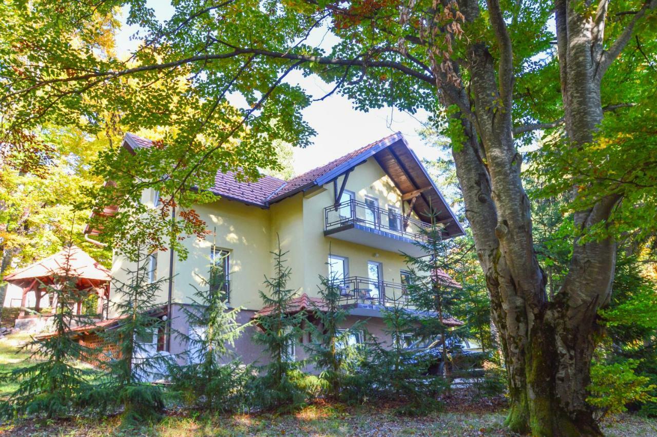 Vila Savinka Zlatibor Buitenkant foto
